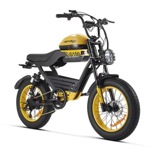 1000W_Fastest_Ebike 1000W_Fastest_Ebike