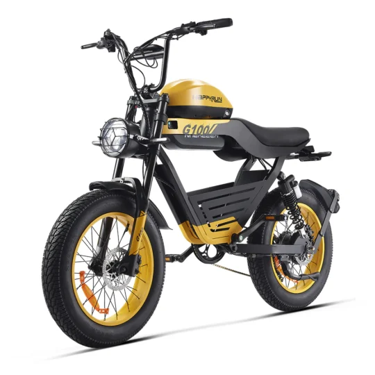 1000w_electric_bike 1000w_electric_bike