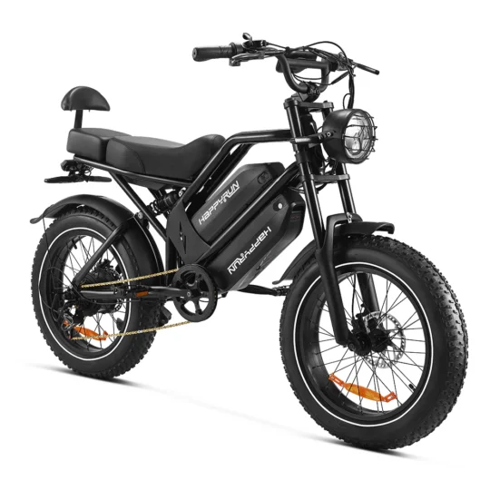 2025 NEW HappyRun G70 2000W Dual Battery Fast Electric Cargo Bike