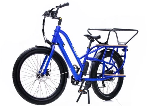 Fuse Box Electric Bike