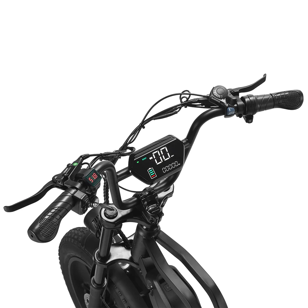 happyrun-G60-ebike_5