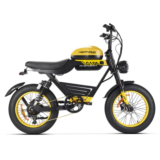 happyrun_1000w_electric_bike happyrun_1000w_electric_bike