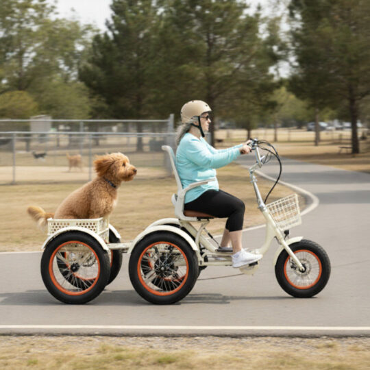 _0000_Dog-in-Basket _0000_Dog-in-Basket
