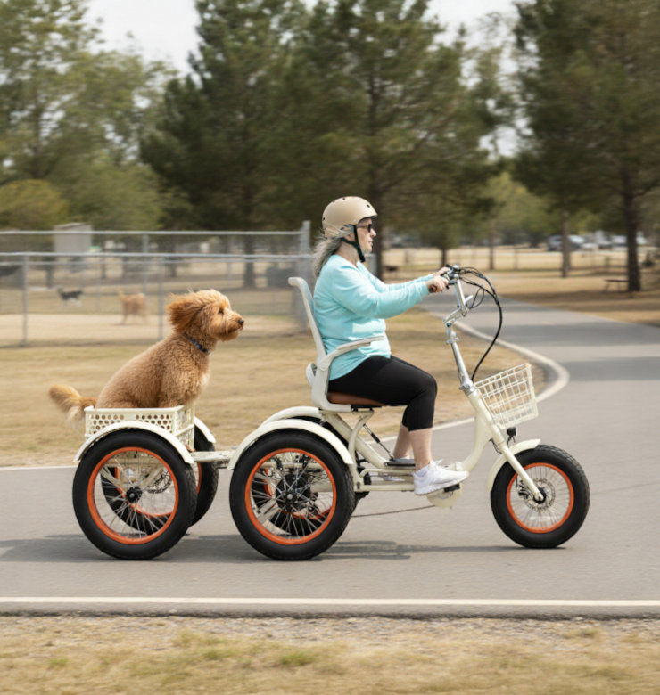 _0000_Dog-in-Basket _0000_Dog-in-Basket