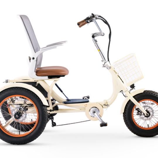 Simple Glide Fat Tire 750W Recumbent E Trike 2026 w/ Footrest & Hitch Connector