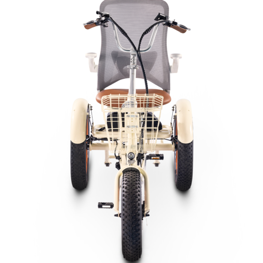 Simple_Glide_Fat_Tire_Etrike_-_SidebySide3 Simple_Glide_Fat_Tire_Etrike_-_SidebySide3