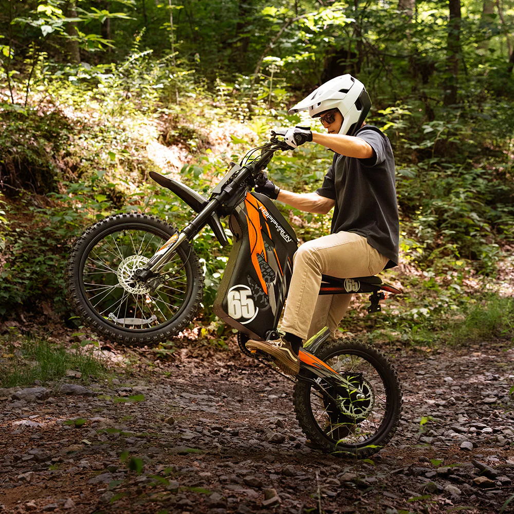 happyrun-g300pro-electric-dirt-bike_4