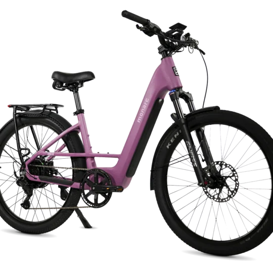 Tracer-Juneberry-Angle Tracer-Juneberry-Angle