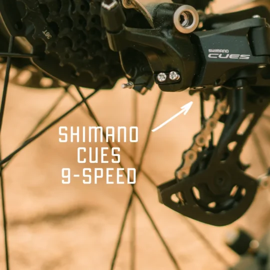 shimano